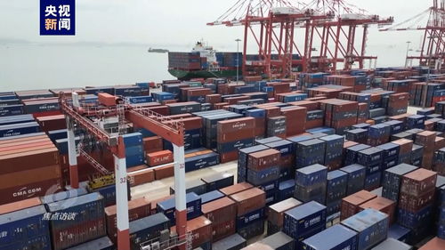 偉大的歷史變革丨高水平對外開放引領普通貨物倉儲服務轉型升級